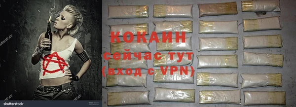 гидра Алексеевка