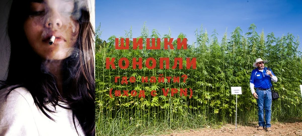 ешки Алзамай