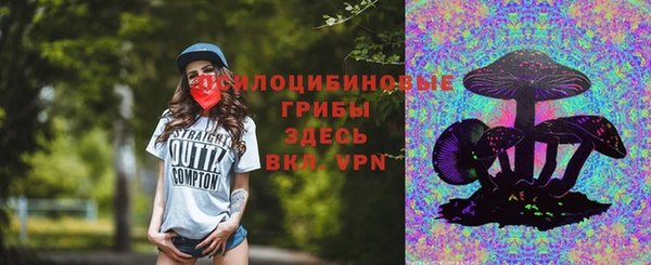 гидра Алексеевка