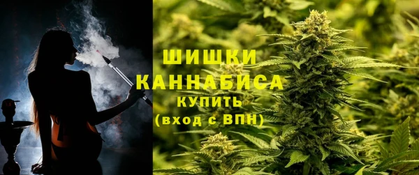 ешки Алзамай