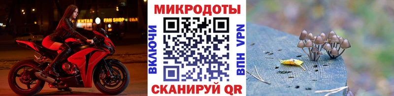 Псилоцибиновые грибы прущие грибы  купить закладку  Николаевск 