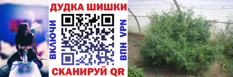 Конопля конопля  наркошоп  Николаевск 